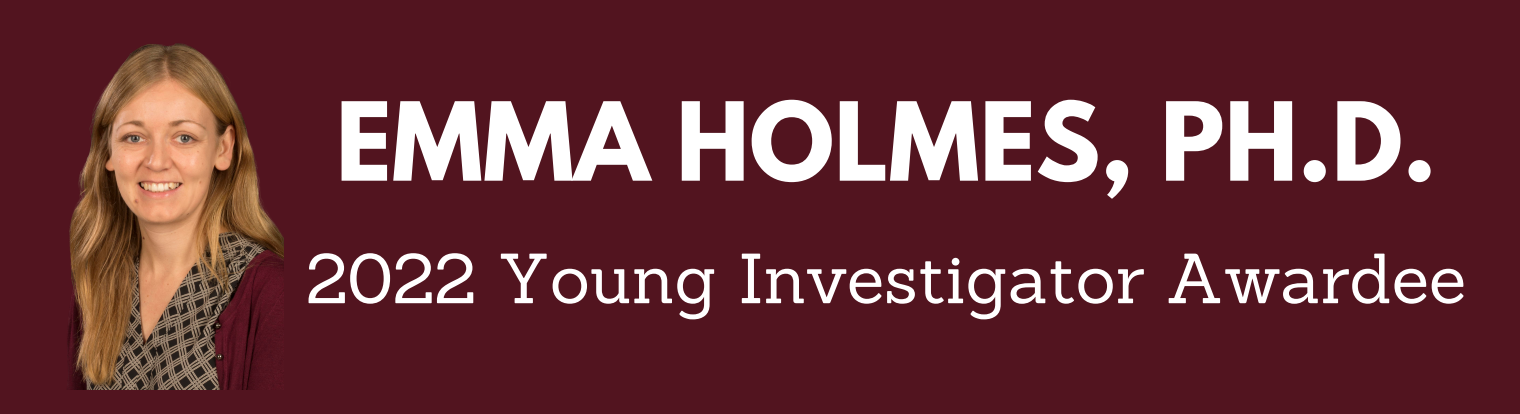Holmes banner